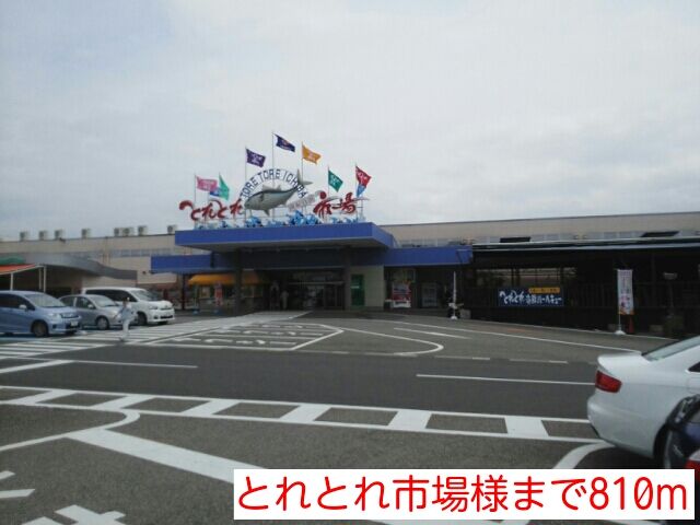 その他　とれとれ市場様（その他）まで810m