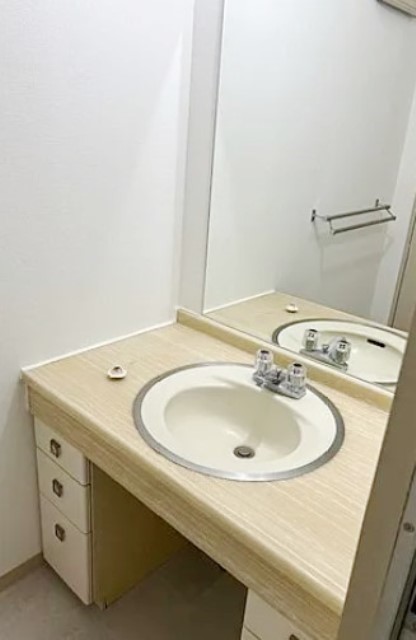 洗面設備　別部屋同仕様タイプ