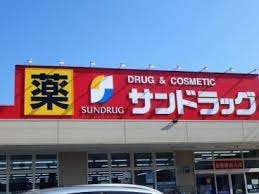 ドラックストア　サンドラッグ浦和西堀店（ドラッグストア）まで506m