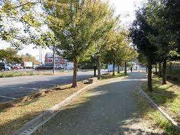 公園　鴻沼緑道（公園）まで291m