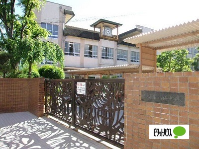 中学校　名古屋市立菊井中学校（中学校）まで262m