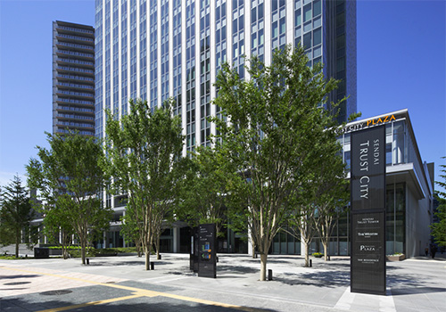 ショッピングセンター　トラストシティプラザ（ショッピングセンター）まで196m