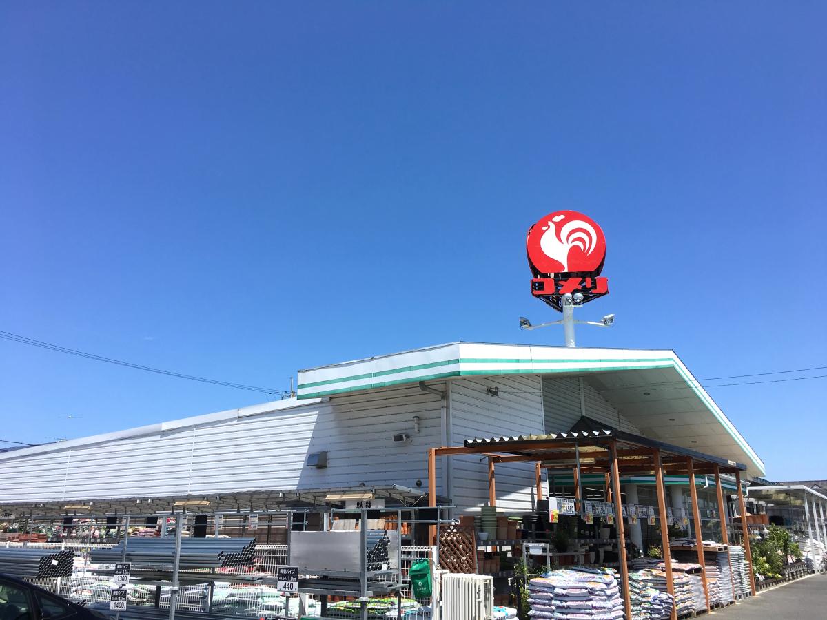 ホームセンター　コメリハード＆グリーン中主店（ホームセンター）まで146m