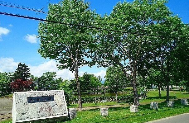 公園　和田公園（公園）まで800m