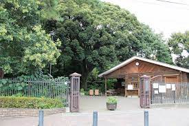 公園　目白の森（公園）まで295m