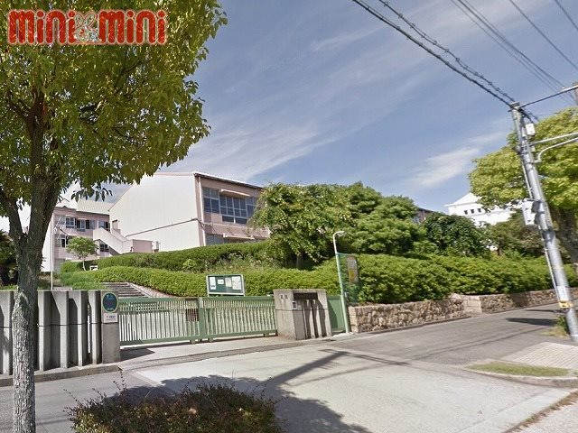 小学校　神戸市立小寺小学校（小学校）まで587m