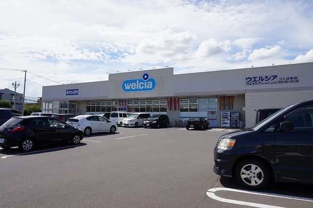 ドラックストア　ウエルシア（ドラッグストア）まで1600m