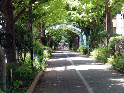 公園　大島緑道公園（公園）まで369m
