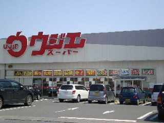 その他　ウジエスーパー南佐沼店まで581ｍ