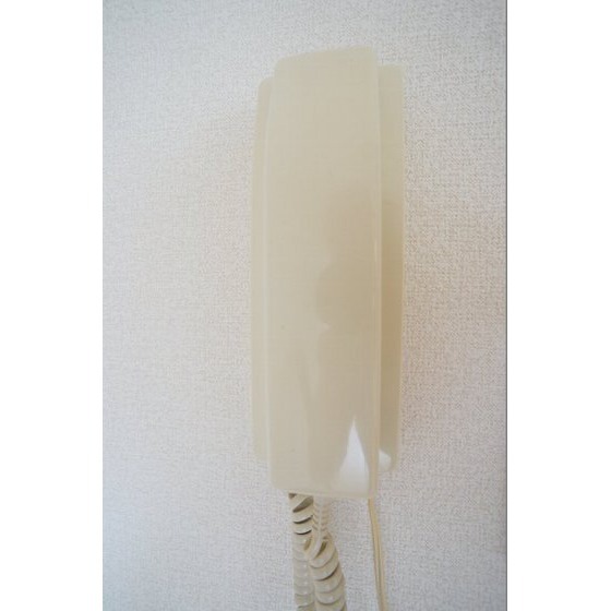 セキュリティ　インターホン