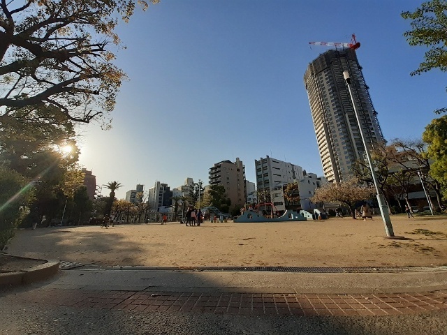 公園　南大江公園（公園）まで350m