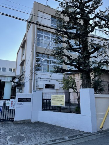 小学校　目黒区立五本木小学校（小学校）まで456m