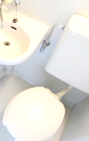 トイレ　トイレです