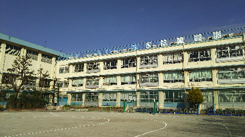 小学校　葛飾区立亀青小学校（小学校）まで204m