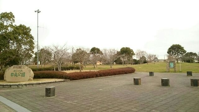 公園　みどりが丘中央公園（公園）まで800m