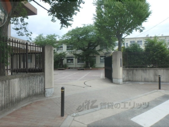 中学校　八条中学校（中学校）まで550m