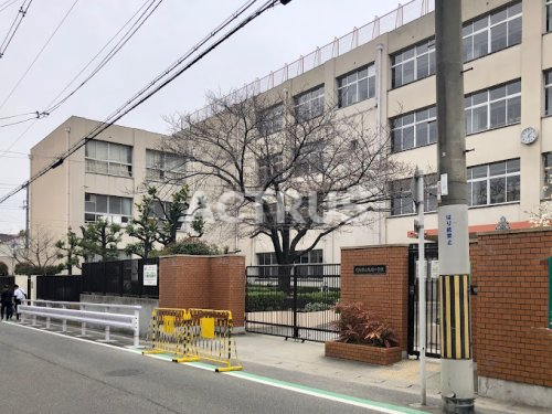 小学校　大阪市立阪南小学校（小学校）まで253m