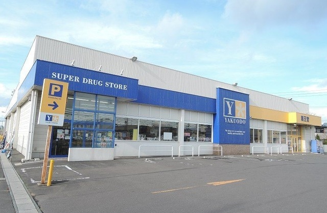 その他　薬王堂田向店（その他）まで1100m