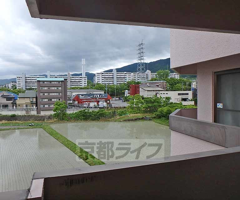 眺望　３階からの眺望です