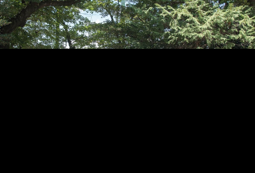 中学校　東京都立南多摩中等教育学校（中学校）まで294m