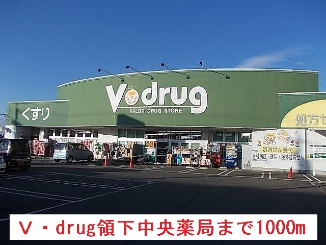 ドラックストア　Ｖ・ｄｒｕｇ領下中央薬局（ドラッグストア）まで1000m