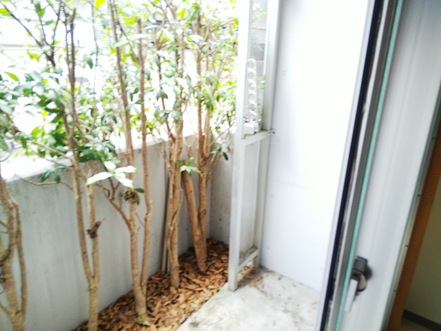 バルコニー　テラス