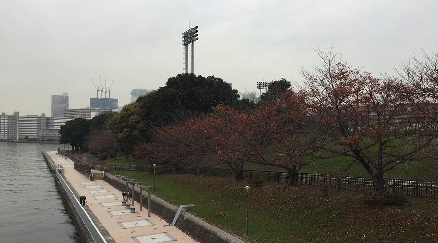 公園　潮見運動公園（公園）まで978m