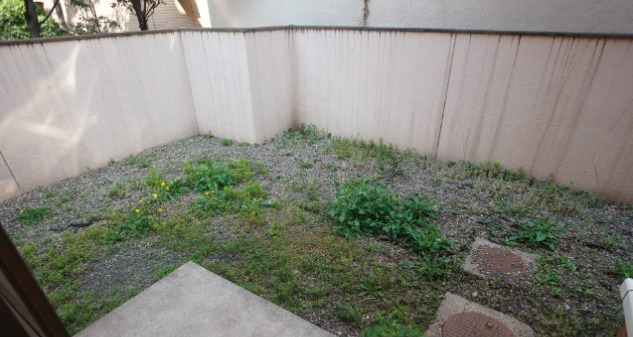 庭　お庭も活用できます