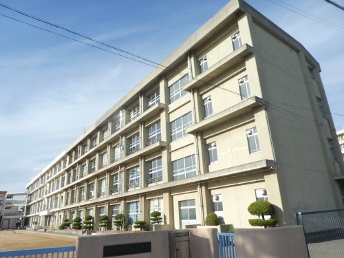 小学校　明石市立錦浦小学校（小学校）まで264m