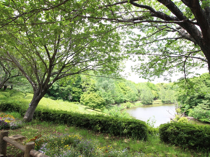 公園　青葉の森公園（公園）まで802m