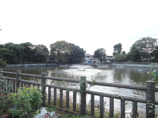 公園　碑文谷公園（公園）まで607m