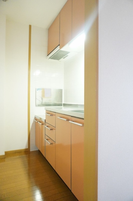 キッチン　図面と現状に相違がある場合には現状を優先