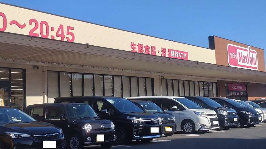 スーパー　マックスバリュ上田中店（スーパー）まで1050m