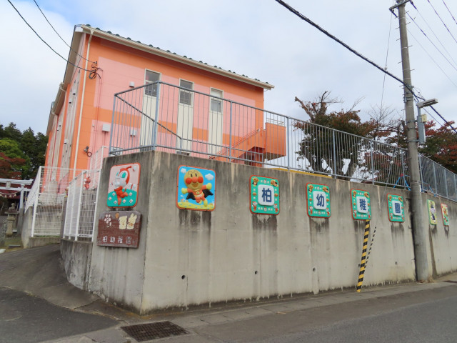 幼稚園・保育園　柏幼稚園（幼稚園・保育園）まで550m