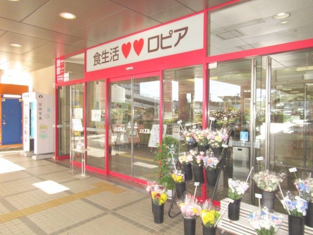 スーパー　ロピア 成田店（スーパー）まで806m