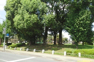 公園　秋津中央公園（公園）まで1220m