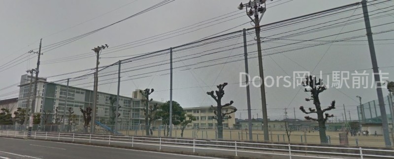 小学校　岡山市立西小学校（小学校）まで501m
