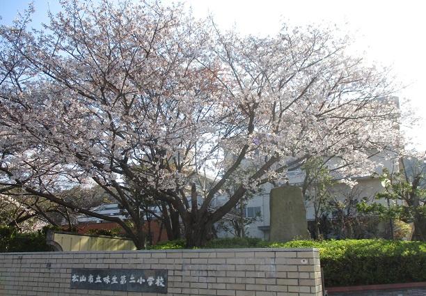小学校　松山市立味生第二小学校（小学校）まで506m