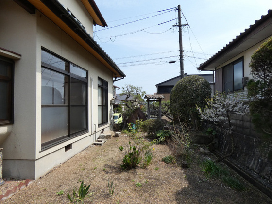 庭