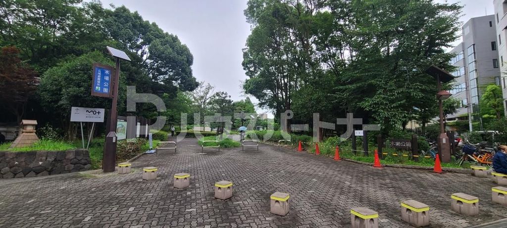 公園　木場公園（公園）まで880m
