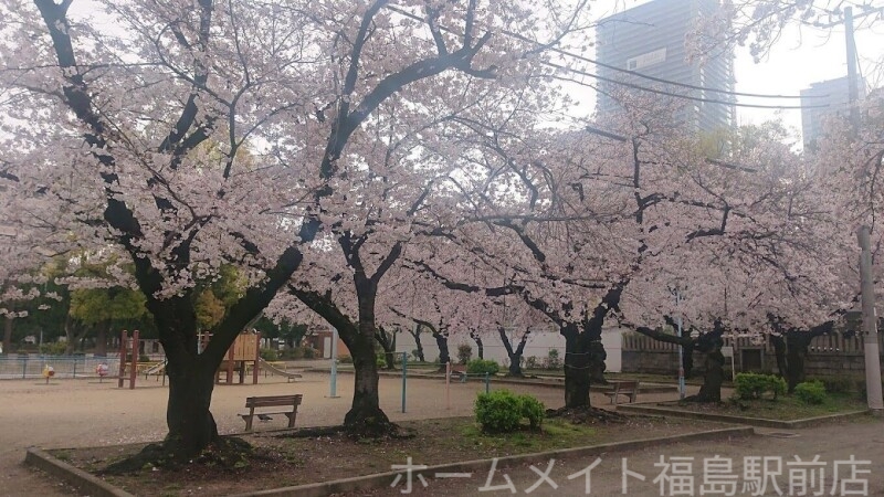 公園　浦江公園（公園）まで534m