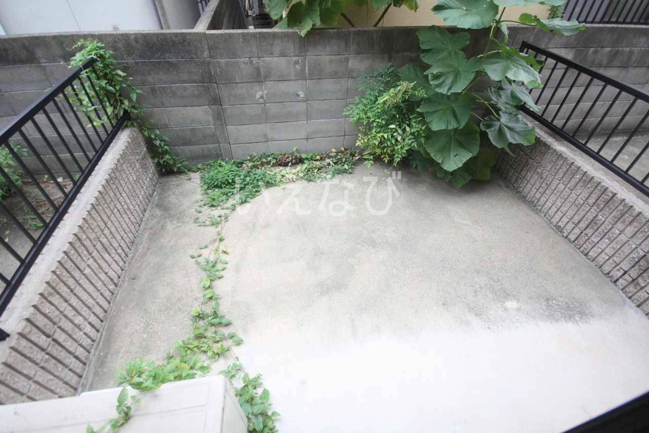庭