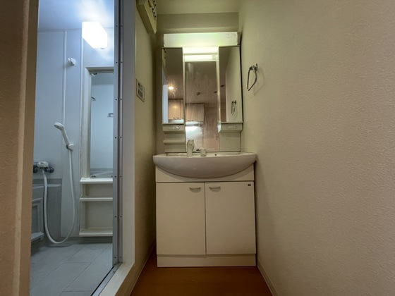 洗面設備　※別の部屋の写真です