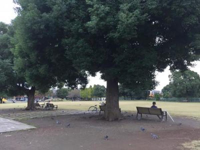 公園　大師公園（公園）まで767m