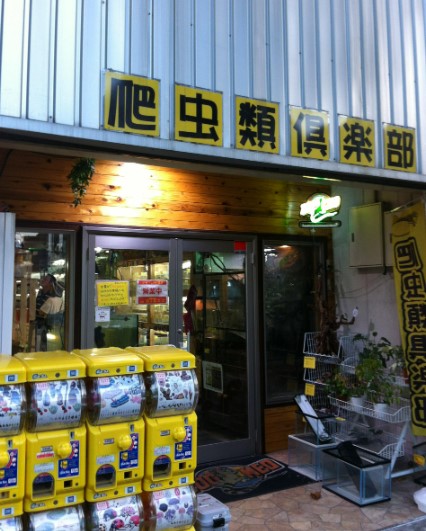 その他　爬虫類倶楽部 中野店（その他）まで250m
