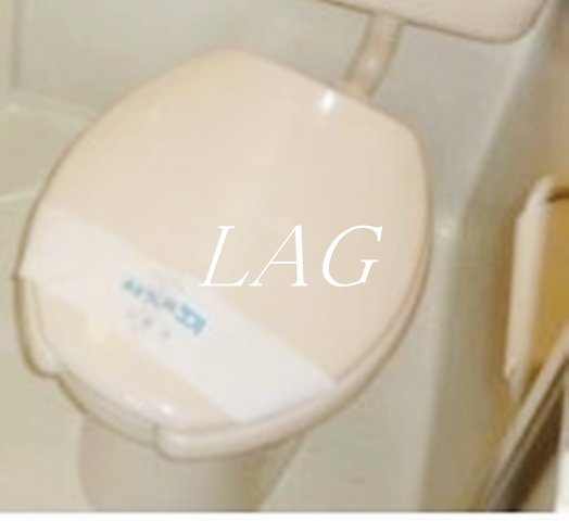 トイレ　トイレです。