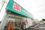 ドラックストア　ドラッグセイムス浦和木崎店（ドラッグストア）まで880m