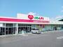 ドラックストア　くすりのレデイれんげ店様（ドラッグストア）まで280m