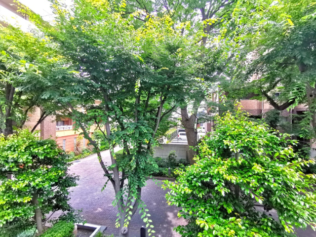 眺望　同タイプ２階参考写真