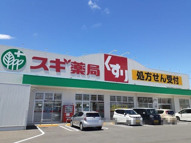 ドラックストア　スギ薬局岐南店（ドラッグストア）まで900m